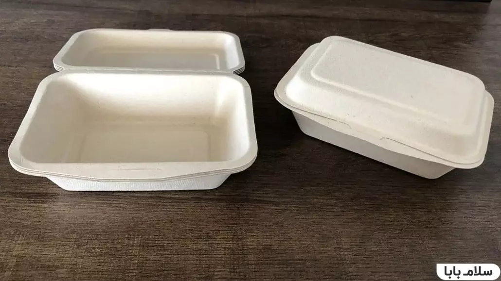 چیزهایی که نباید داخل مایکروویو گذاشت -ظرف یکبار مصرف