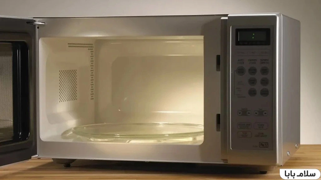 چیزهایی که نباید داخل مایکروویو گذاشت- هیچ