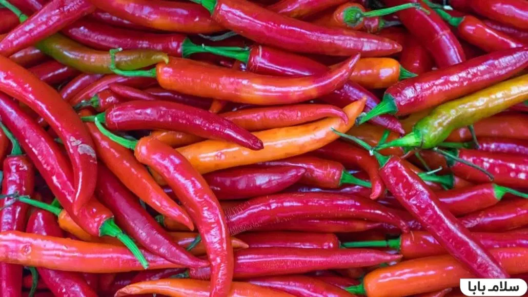 چیزهایی که نباید داخل مایکروویو گذاشت -فلفل تند