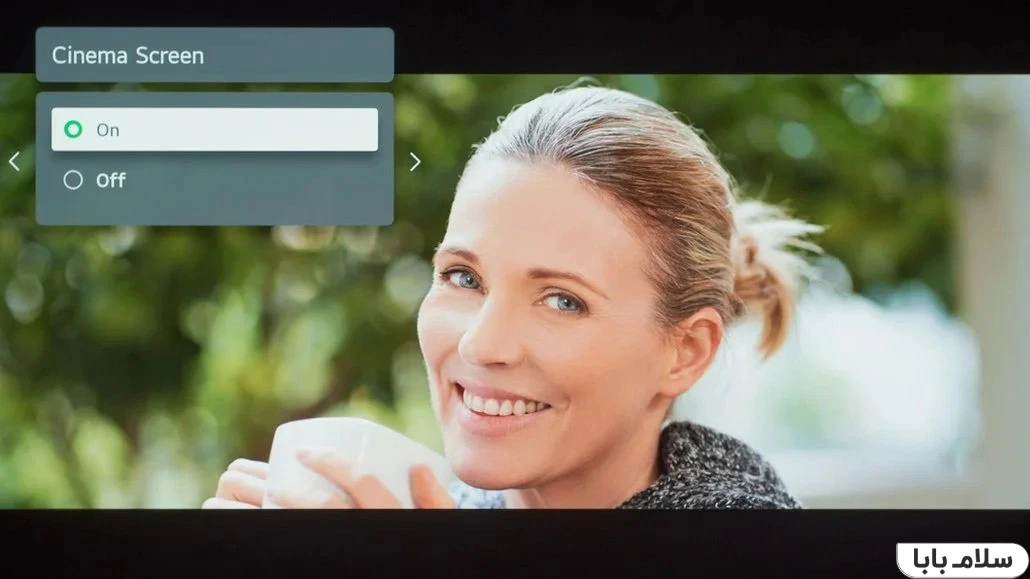 تنظیمات تلویزیون ال جی C1