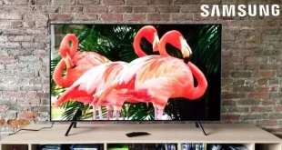 قیمت تلویزیون سامسونگ در بندر گناوه